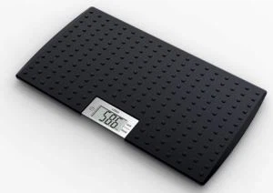 เครื่องชั่งน้ำหนักปศุสัตว์สัตว์